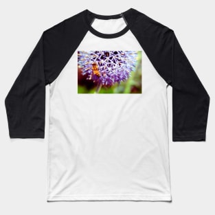 Bee On Small Globe Thistle 3 Baseball T-Shirt